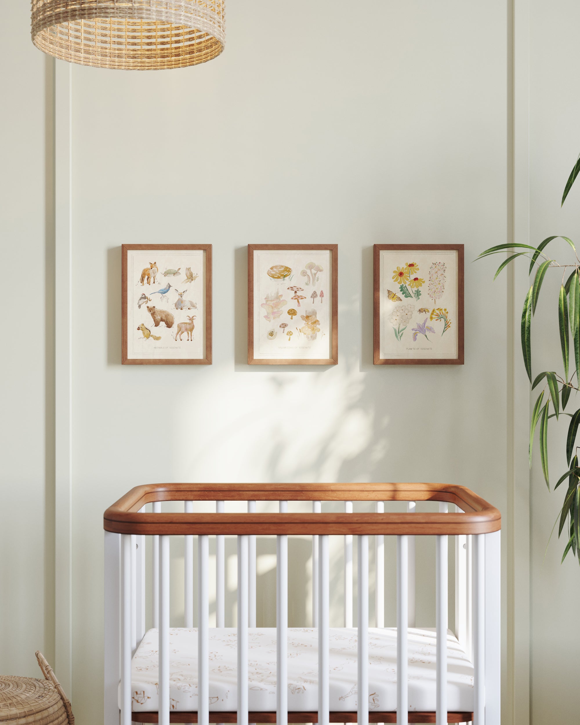Nursery Wall Decor Ideas 12 Modern Green Nursery Ideas – Poppyseed