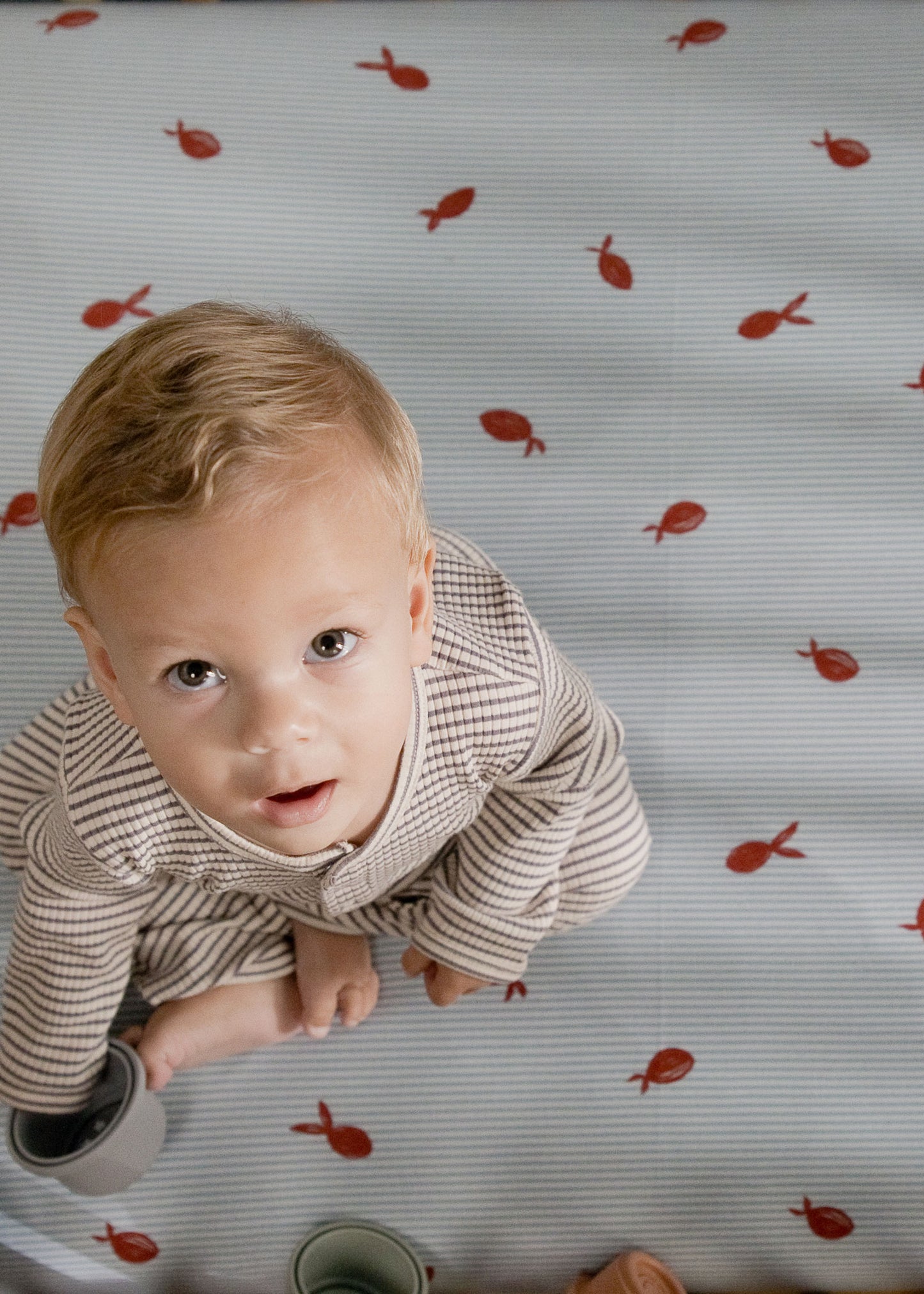 Little Fish Crib Sheet Set