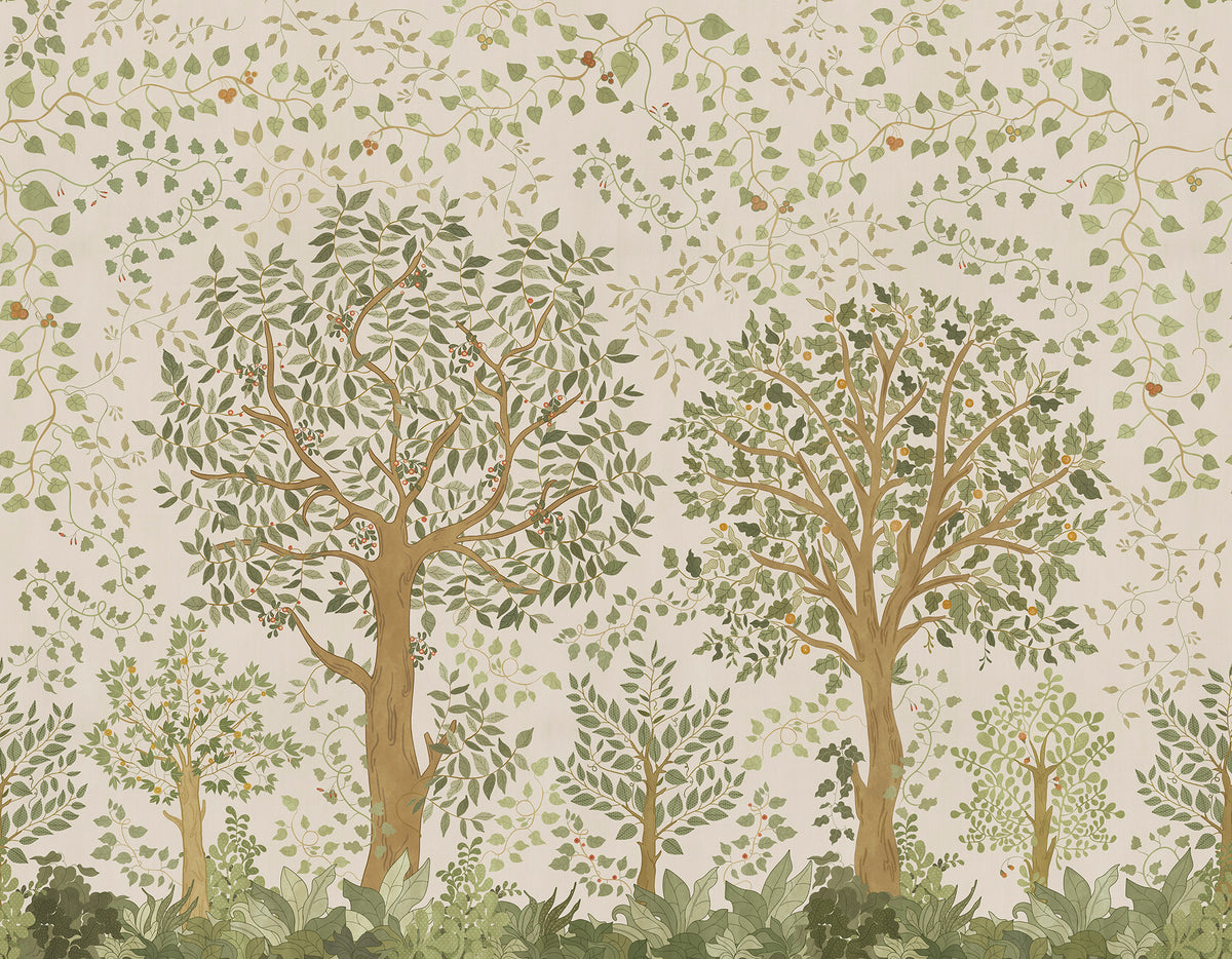 Birch