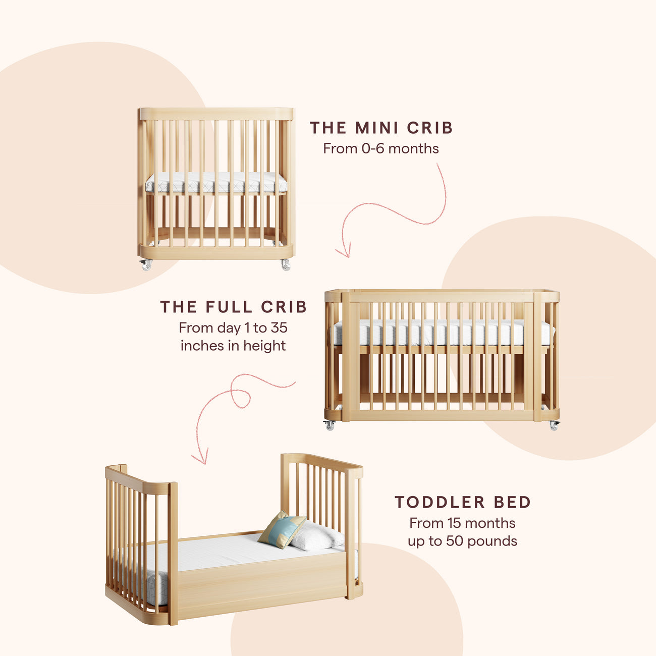 Bodie Natural Oak Wood Convertible Baby Crib + Reviews