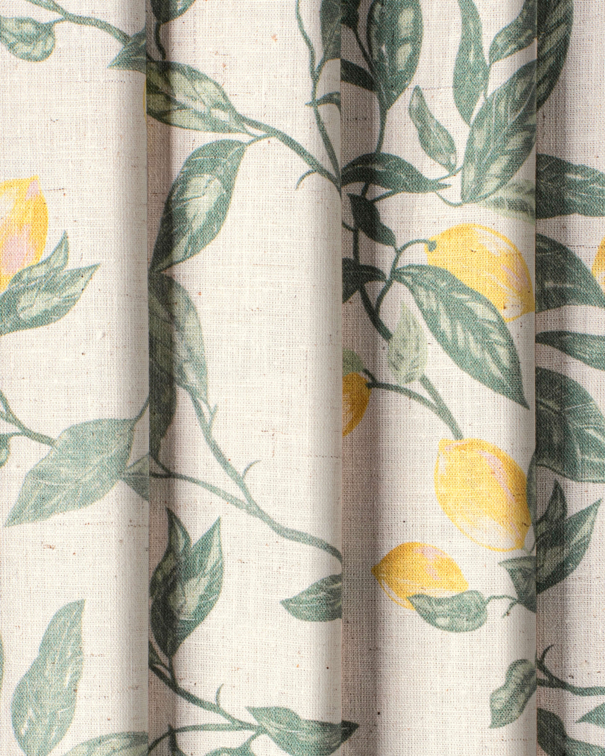 Flora Sheer Curtain | Nestig