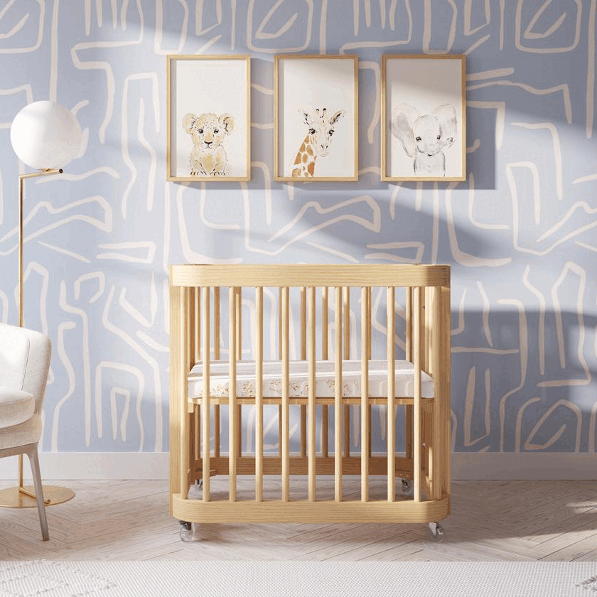 Sweet dream nursery grow with best sale me crib